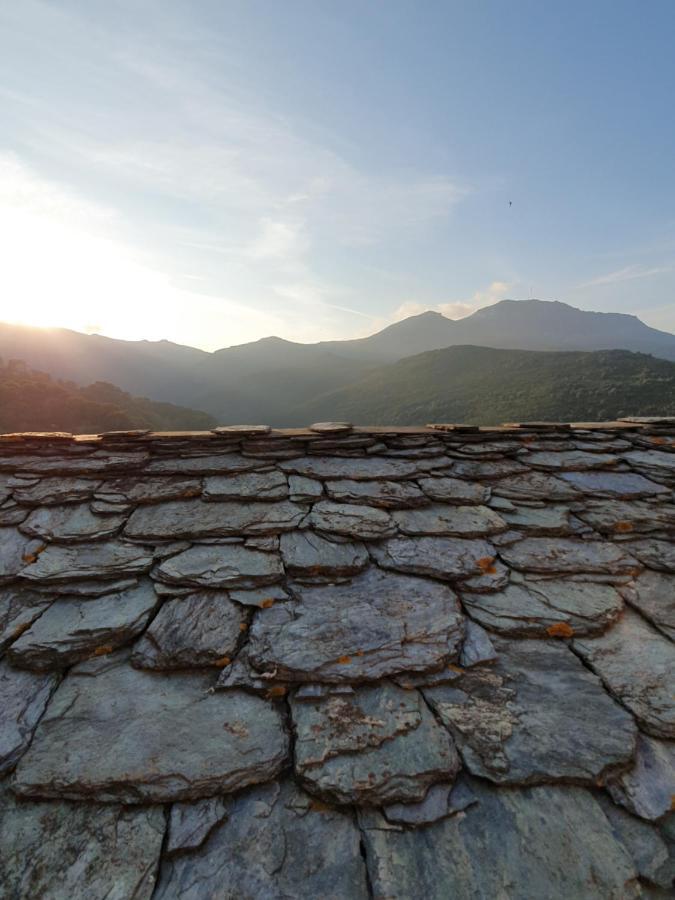 A Casetta Di Santa Maria Furiani Bagian luar foto